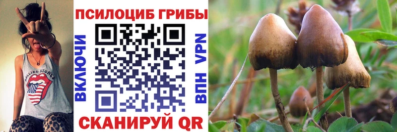 Псилоцибиновые грибы мухоморы  Белоозёрский 